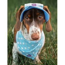 Панама для собак Hat-Dog котон Хакі з патчем