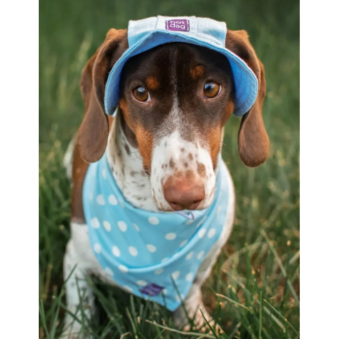 Панама для собак Hat-Dog котон Хакі з патчем