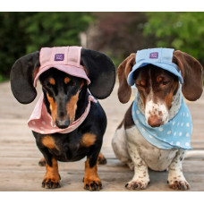 Панама для собак Hat-Dog котон Хакі з патчем