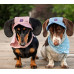 Панама для собак Hat-Dog котон Хакі з патчем