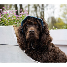 Панама для собак Hat-Dog котон Джинс