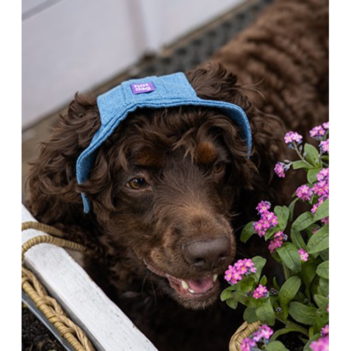 Панама для собак Hat-Dog котон Джинс