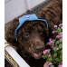 Панама для собак Hat-Dog котон Джинс