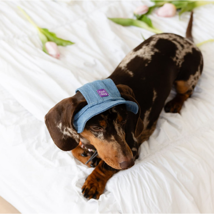 Панама для собак Hat-Dog котон Джинс