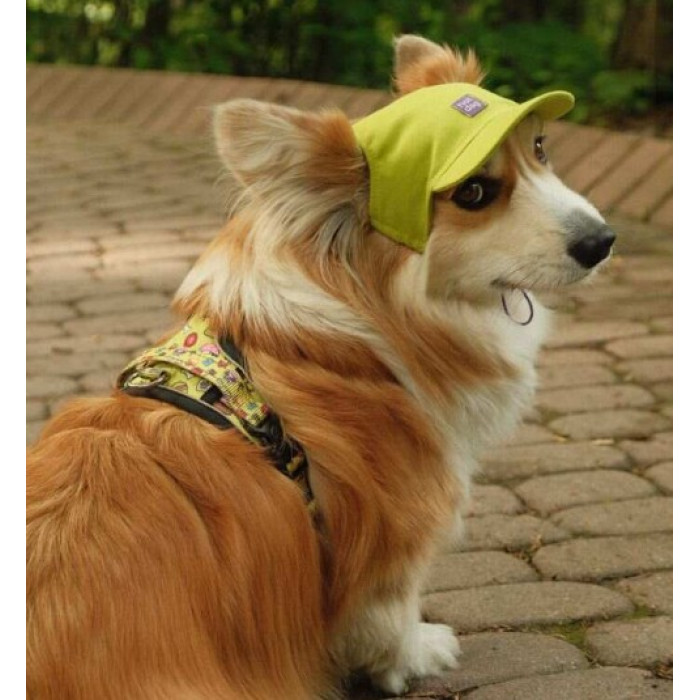 Кепка для собак Hat-Dog котон Лайм