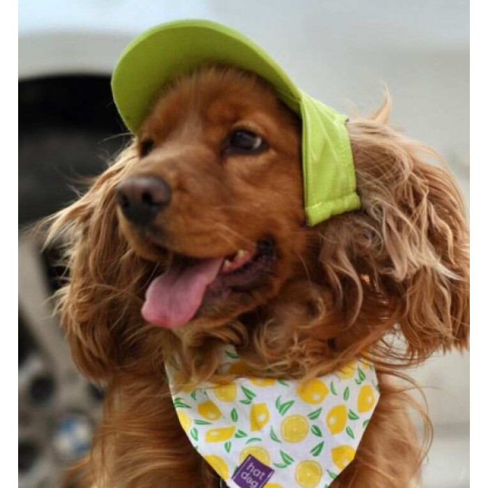 Кепка для собак Hat-Dog котон Лайм