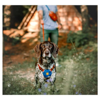 Шлея для собак Color Block Lime Mix Woolly Wolf