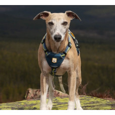 Шлея для собак Horizon Deep Teal Mix Woolly Wolf
