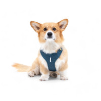 Шлея для собак Roam Wooly Wolf Deep Teal