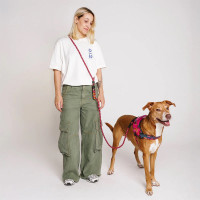 Повідець для собак Zee.Dog - Selva Handsfree Leash, 120-240 см