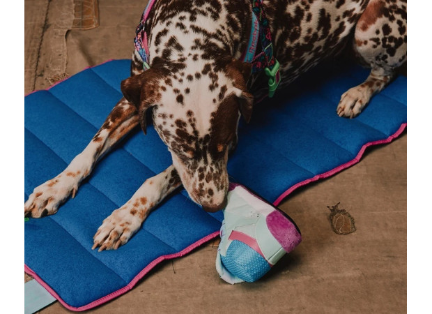 М'яка іграшка Zee.Dog Reebok Freestyle Plush Sneaker