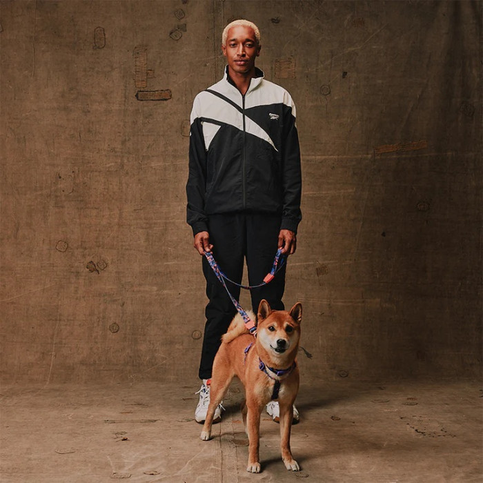 Шлея для собак Zee.Dog and REEBOK - COURT H-harness