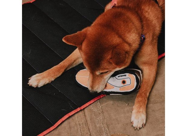 М'яка іграшка Zee.Dog Reebok Pump Omni Lite Sneaker