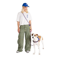 Повідець для собак Zee.Dog - Samba Handsfree Leash, 120-240 см