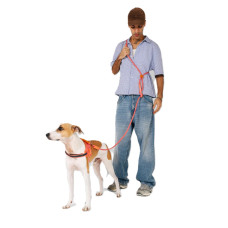 Повідець для собак Zee.Dog - Gazelle Hands-Free Leash, 120-240 см