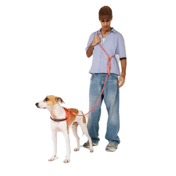 Повідець для собак Zee.Dog - Gazelle Hands-Free Leash, 120 - 240 см