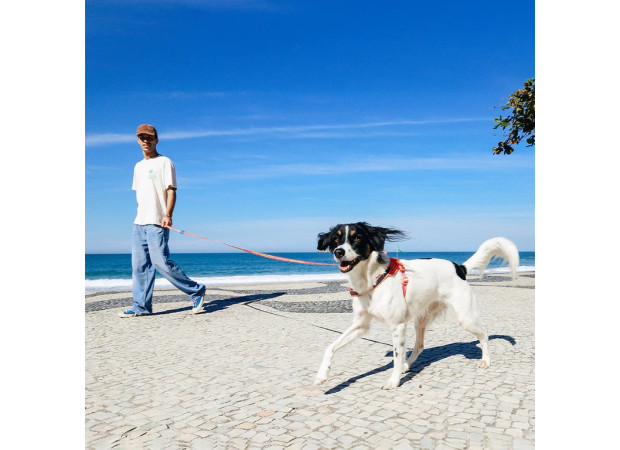 Повідець для собак Zee.Dog – Drago Long Leash