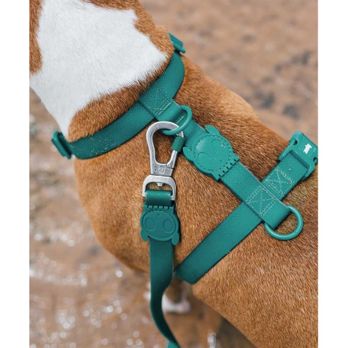 Шлея для собак Zee.Dog - NeoPro H-Harness Amazonia