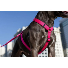 Шлея для собак Zee.Dog - Pink LED H-Harness