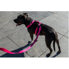 Шлея для собак Zee.Dog - Pink LED H-Harness