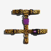 Шлея для собак Zee.Dog - Honey H-Harness