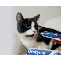 Гель для тварин Orozyme для боротьби з проблемами зубів та ясен