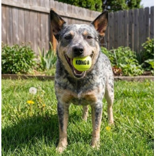Іграшка KONG SqueakAir Ball теніс, 3 шт.