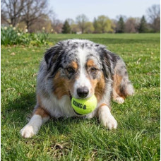 Іграшка KONG SqueakAir Ball теніс, 3 шт.