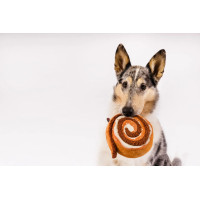 Іграшка для собак Pup Cup Cafe - Cinnabone Pet Play