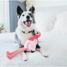 Іграшка для собак Fetching Flock Collection - Flamingo Pet Play
