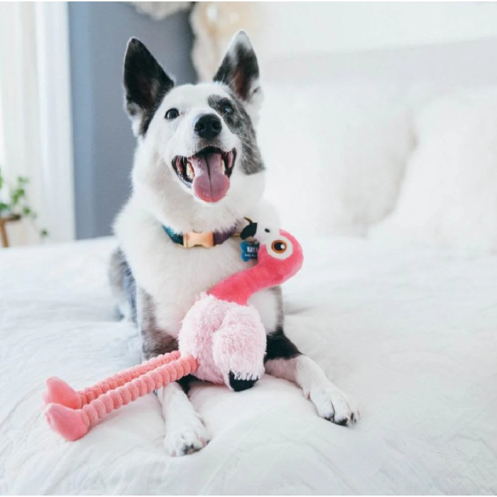 Іграшка для собак Fetching Flock Collection - Flamingo Pet Play