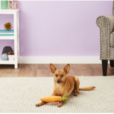 Іграшка для собак Garden Fresh Toy - Carrot Pet Play