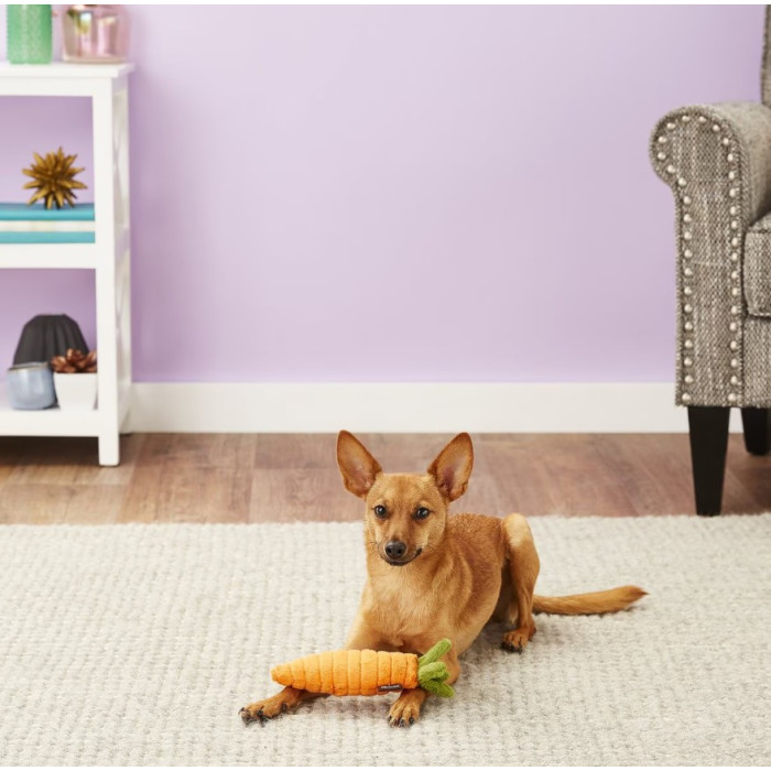 Іграшка для собак Garden Fresh Toy - Carrot Pet Play