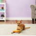 Іграшка для собак Garden Fresh Toy - Carrot Pet Play