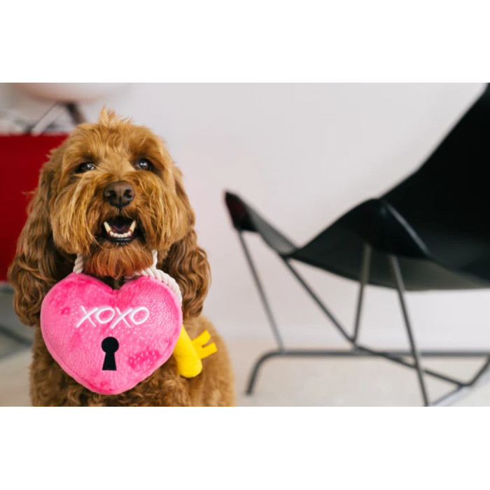 Іграшка для собак Love Bug Collection - Love You a Lock Pet Play