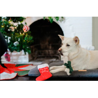 Іграшка для собак Merry Woofmas Good Dog Stockingx Pet Play