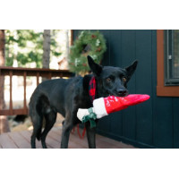Іграшка для собак Merry Woofmas Good Dog Stockingx Pet Play