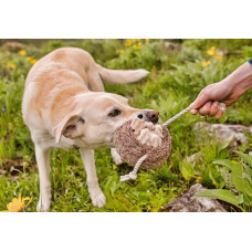 М'яка іграшка для собак Forest Friends - Hamilton the Hedgehog PetPlay