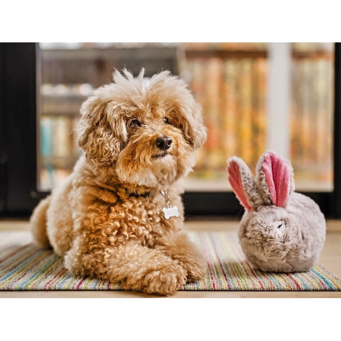 Іграшка для собак Baxter the Bunny Forest Friends Pet Play