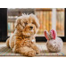 Іграшка для собак Baxter the Bunny Forest Friends Pet Play
