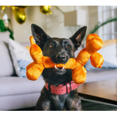 Іграшка для собак Party Animals - Balloon Dog P.L.A.Y