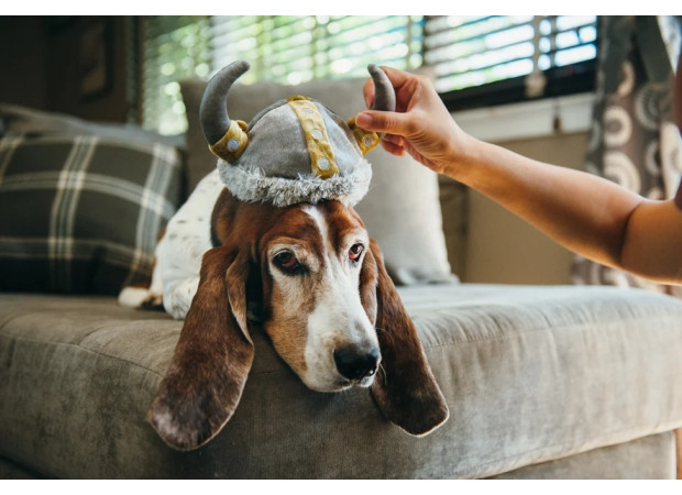 Іграшка для собак Mutt Hatter - Viking Pet Play