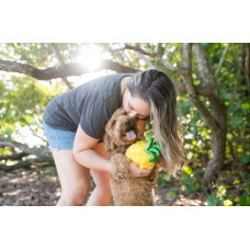 Іграшка для собак Tropical Paradise - Pineapple Pet Play