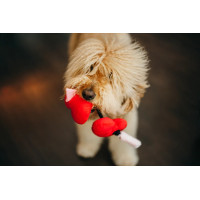 Іграшка для собак Puppy Love Collection - Fur-Ever Hearts Pet Play