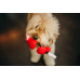 Іграшка для собак Puppy Love Collection - Fur-Ever Hearts Pet Play