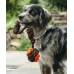 Іграшка для собак Scout About Tug Ball Pet Play
