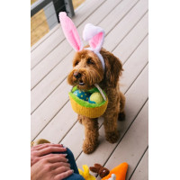 Іграшка для собак Hippity Hoppity - Egg Basket Pet Play