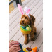 Іграшка для собак Hippity Hoppity - Egg Basket Pet Play