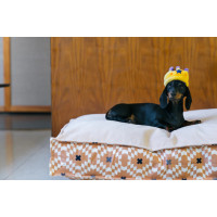Іграшка для собак Party Time Collection - Crown Pet Play