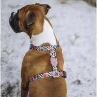 Шлея для собак Zee.Dog - Mahalo H-harness